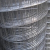  Galvanized Welded Mesh