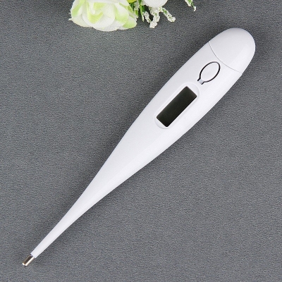 Accurate Mini Digital Thermometer For Body Temperature