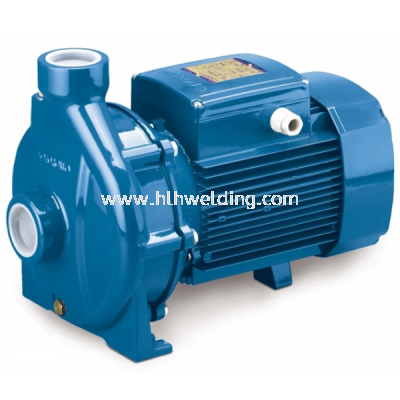 Pedrollo Centrifugal Pump 1.1kW, 50~200L/min 32.5~18m CPm160C  