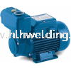 Pedrollo Self Priming Pump 0.37kW, 5~40L/min, 38~5Meters, PKSm60 Pedrollo Self-Priming Pump with Built in Check Valve Pedrollo Electric Water Pump Water Pump Malaysia