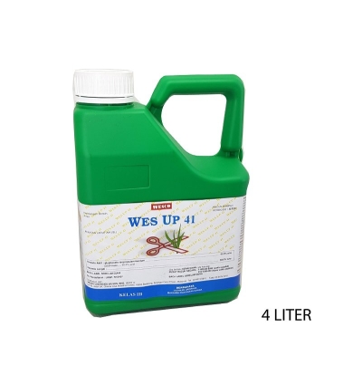 #<  E   4 LT   WES UP 41 ( GRASS ) - 00295O 