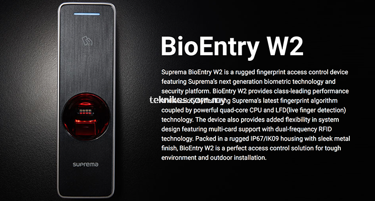 BioEntry W2