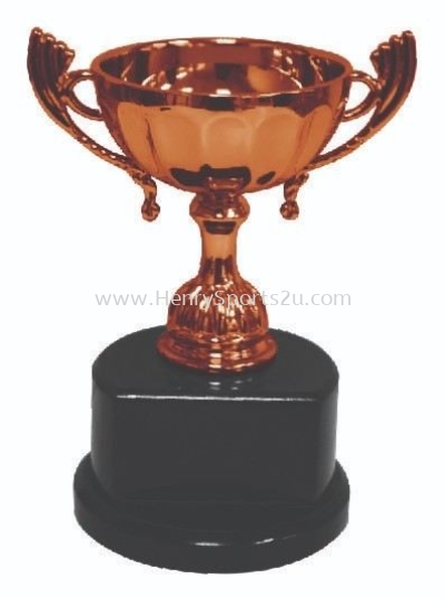 CPT10053 Metal Trophy with Handle