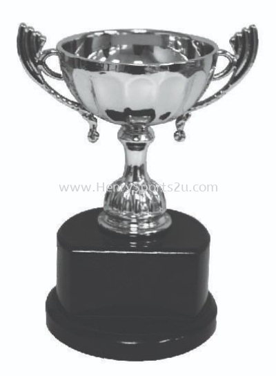 CPT10053 Metal Trophy with Handle