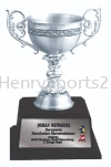APA7208 Pewter Trophy with Handle Pewter Trophy Pewter Series Award Trophy, Medal & Plaque