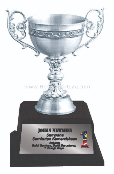APA7208 Pewter Trophy with Handle