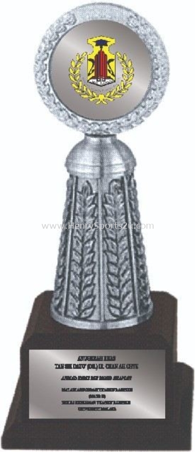 APA7046 Pewter Trophy