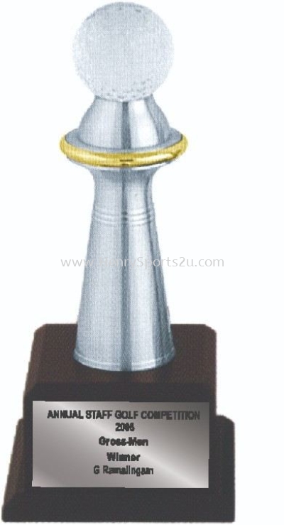 APA7041 Pewter Trophy