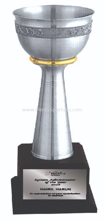 APA7211 Pewter Trophy