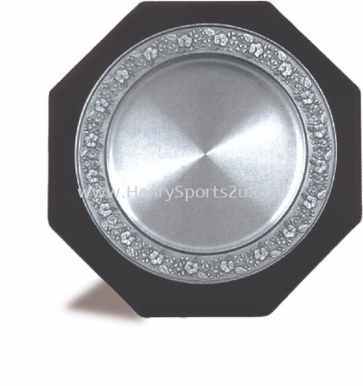 APA8051 Pewter Tray