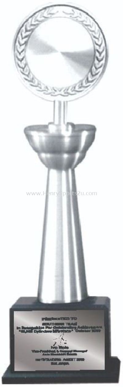 TP3016 Pewter Trophy