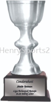 TP3030 Pewter Trophy Pewter Trophy Pewter Series Award Trophy, Medal & Plaque