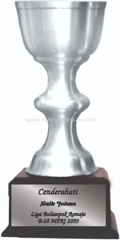 TP3030 Pewter Trophy