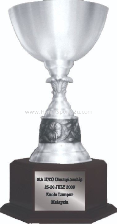 TP3006 Pewter Trophy