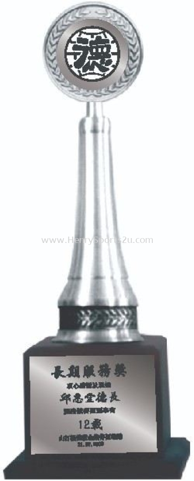 TP3081 Pewter Trophy