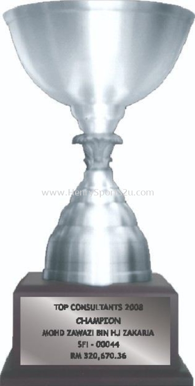 TP3100 Pewter Trophy