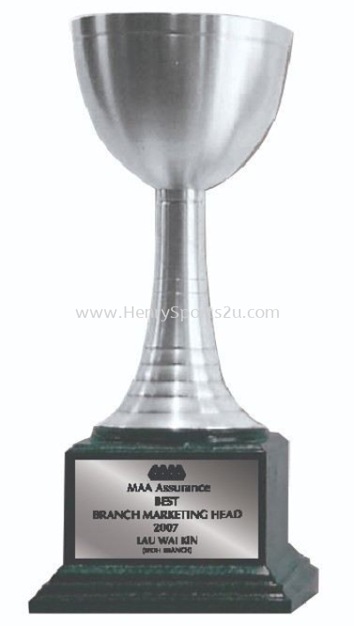 TP3144 Pewter Trophy