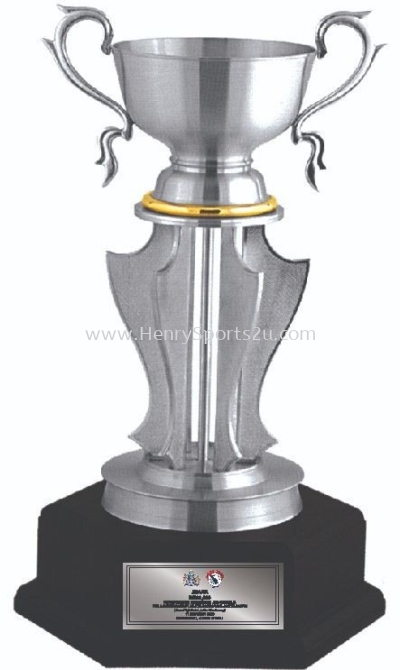 APA7301 Pewter Trophy with Handle