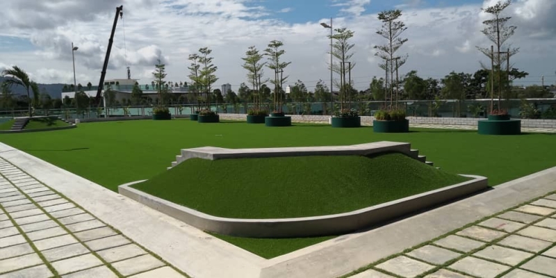 Artificial Grass