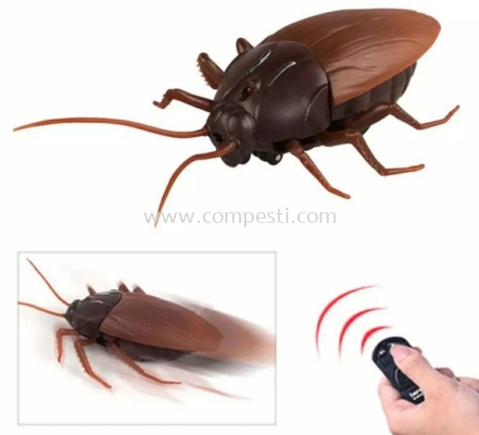 Cockroach Display by Remote