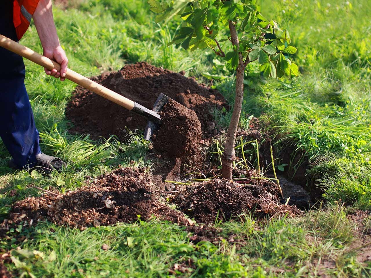 Land space for Plant A Tree Program in Klang Valley area