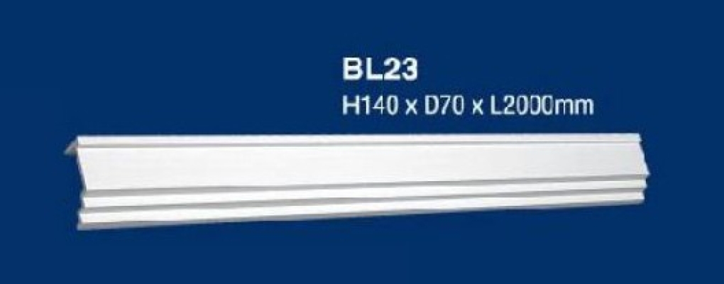 BL23