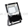 F2036 33W FLOODLIGHT