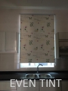 11 set roller blinds Roller Blinds