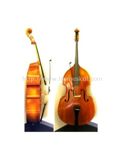 Carlo Magdini VSA-300 Violin