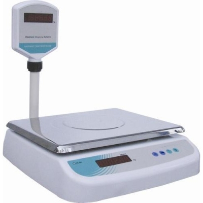 Electronic Scale