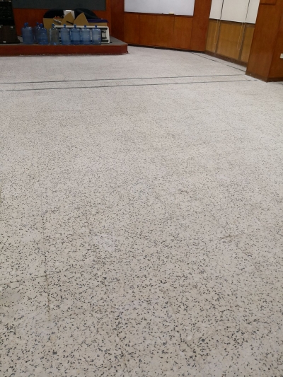 repolish terrazzo