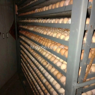 Hatchery Machine