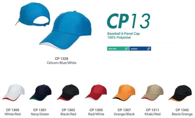 CP13