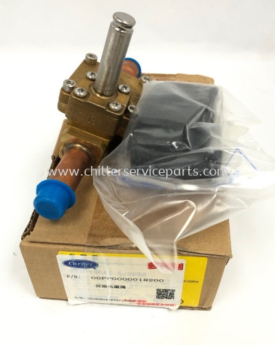 00PPG000018200 Electronmagnetic/Solenoid Valve c/w 24v-Coil