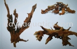 Drift Wood Bonsai, Deco Stem & Drift wood Stone,Wood,Fibre Decoration Categories