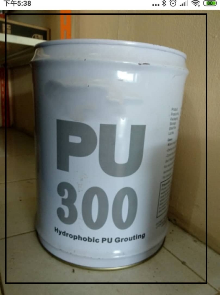 PU300