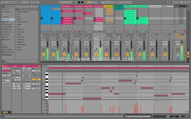 Ableton Live 10 Suite - Upgrade from Live 7-9 Suite (download)