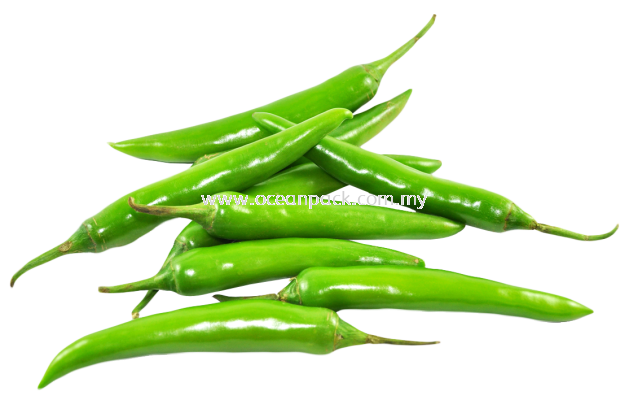 A GRADE GREEN CHILI 