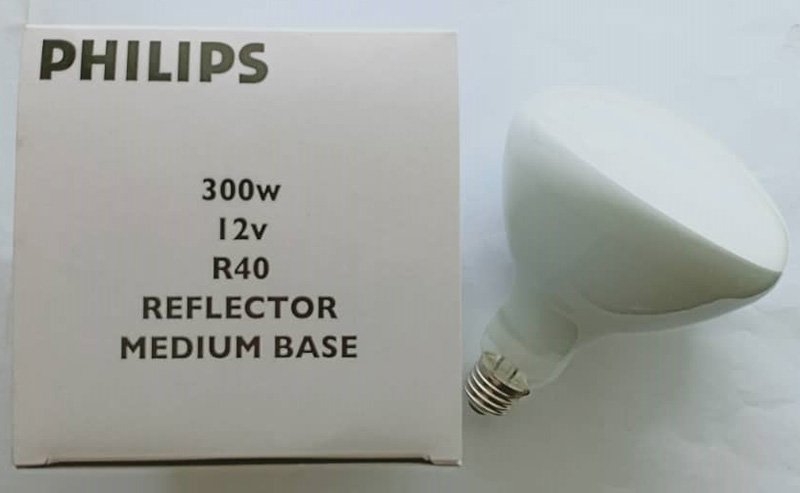 Philips 12V 300W R40 E27 Underwater Lamp Selangor, Malaysia, Kuala ...