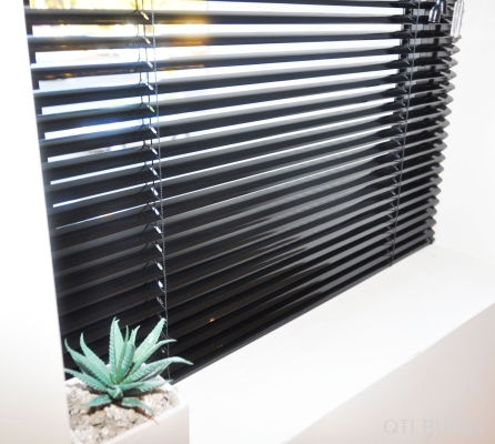 Venetian Blinds