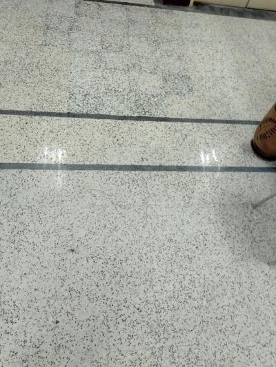 repolish terrazzo