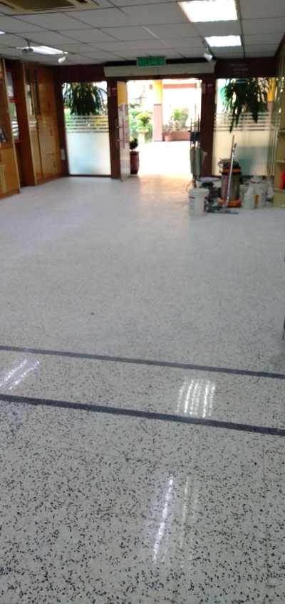 repolish terrazzo