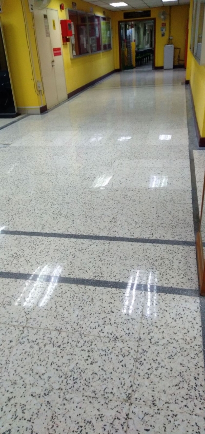 repolish terrazzo