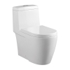 Combos 1030 Washdown One Piece Water Closet