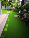 Artificial Grass Residential