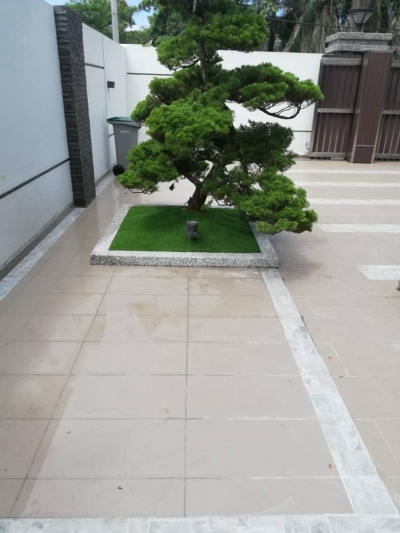 Artificial Grass