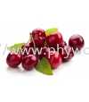 Tart Cherry Juice Powder Functional Food / Active Ingredient