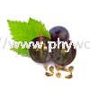 Grape Seed Extract Functional Food / Active Ingredient