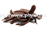 D-pinitol Functional Food / Active Ingredient