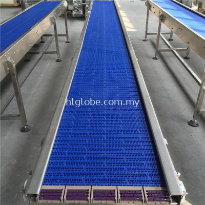 Special Heavy Duty Conveyor.